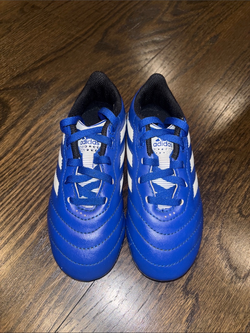 adidas Goletto VIII FG kids soccer cleats